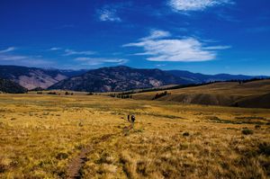 Yellowstone hiking